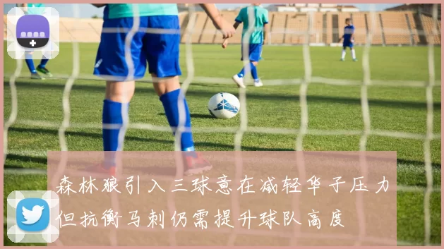 森林狼引入三球意在减轻华子压力但抗衡马刺仍需提升球队高度
